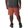 imageColumbia Mens Silver Ridge Utility Cargo ShortAuburn