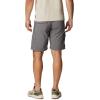 imageColumbia Mens Silver Ridge Utility Cargo ShortDelta