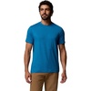Phoenix Blue Heather